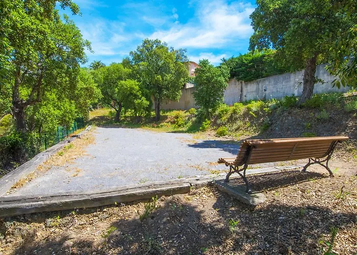 Villa Luxueuse - Golfe De St Tropez